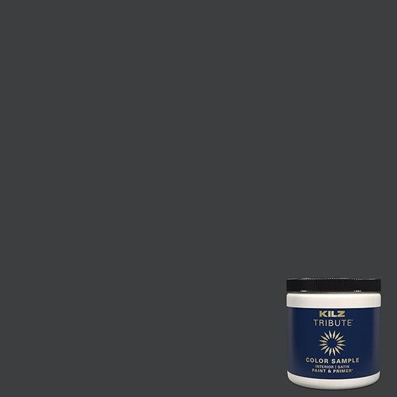 deep onyx interior paint