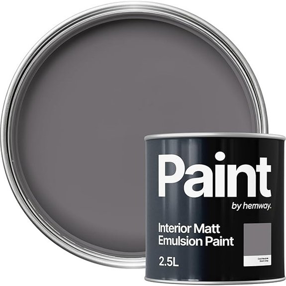 hemway storm grey paint