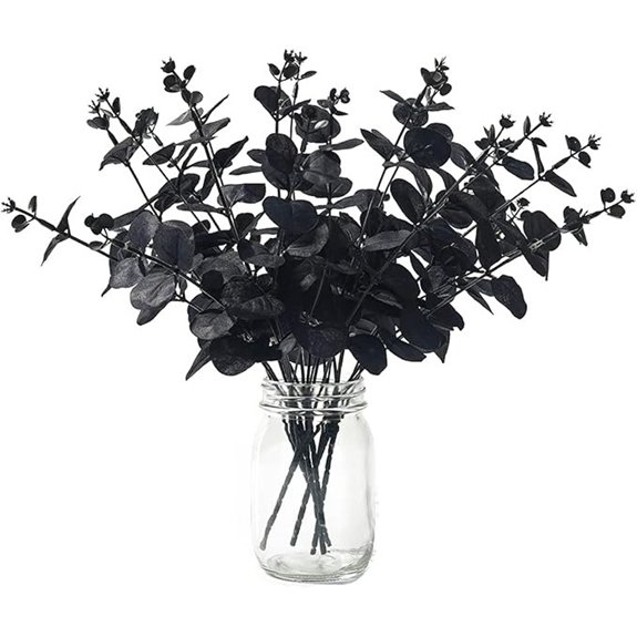 black eucalyptus branch stems