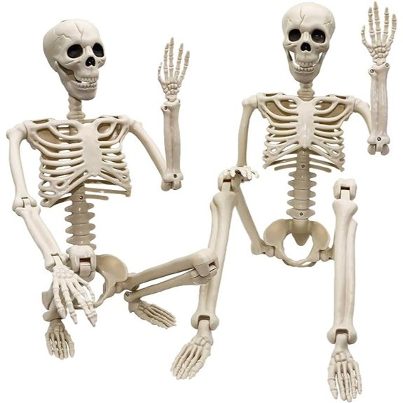 two skeletons 36 inches
